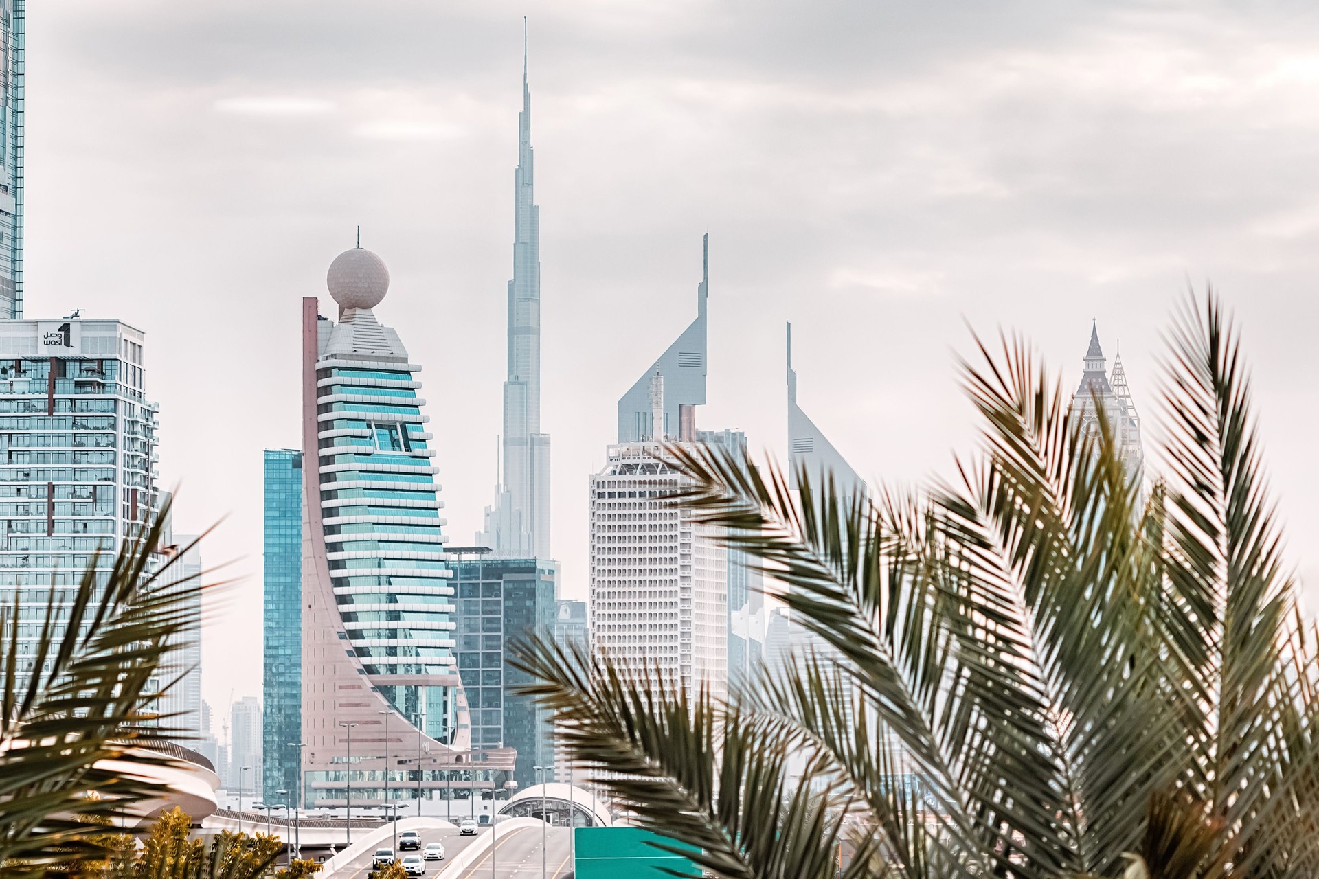 Palm leaves and Dubai skyscrapers in residential block at popular tourist resort.